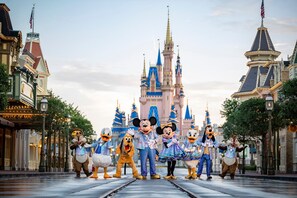 Un groupe de personnages de Disney devant un château.