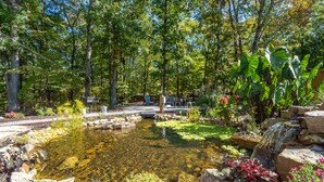 A serene garden with a pond, surrounded by trees and various plants. - Romantic Waterfall cabin-Hot Tub-Coffee & Tea Bar-Fire Pit (Hot Springs)