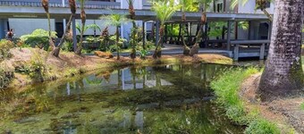 Polynesian Koi Pond Gardens Condo in Hilo w/pool