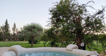 Provençal farmhouse-Jacuzzi-garden 5000m2-Children's area -Ping Pong-Pétanque-BBQ-quiet
