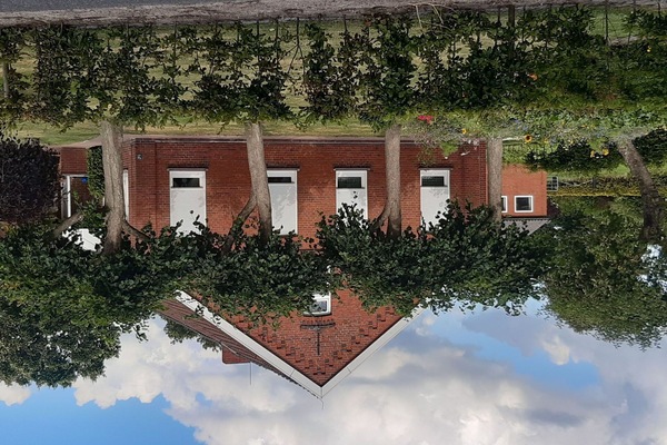 Propriété, Nuage, Bâtiment, Plante, Botanique, Ciel, Fenêtre, Végétation, Design Urbain, Biome