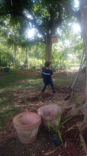 Parco della struttura