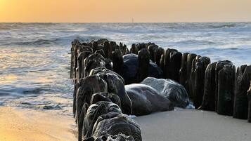 A coastal scene with a wooden sea defense structure.
