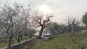 Un sentier bordé d’arbres, avec un banc en pierre et une petite construction en arrière-plan.