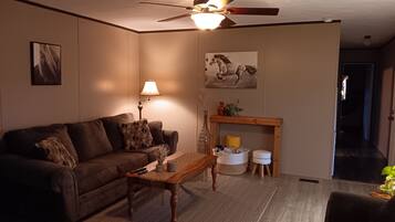 Televisión, reproductor de DVD, libros y videoteca