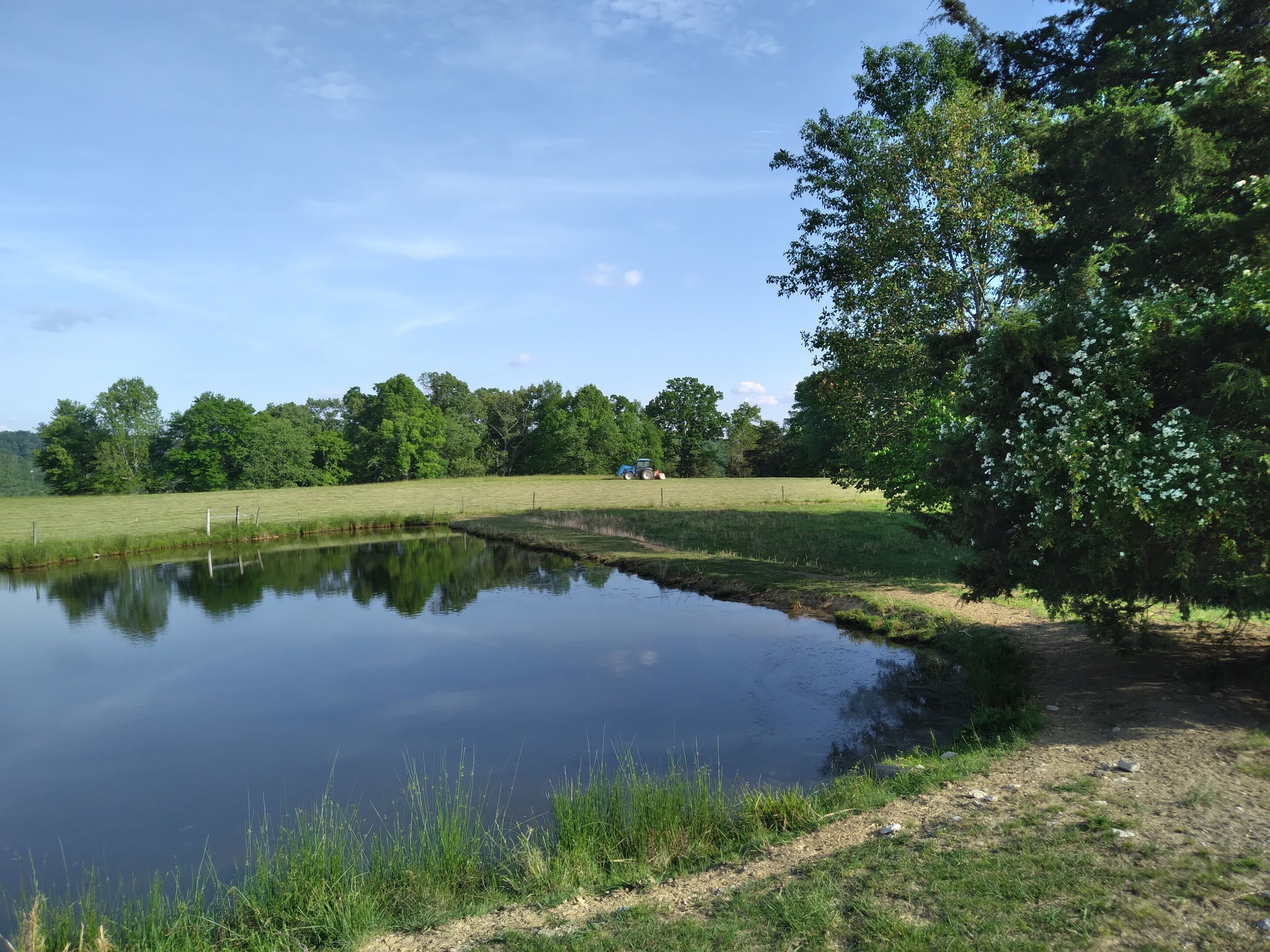A serene pond with a clear reflection, surrounded by lush greenery and a distant tractor in a field.