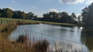 A calm pond surrounded by a grassy field and trees.