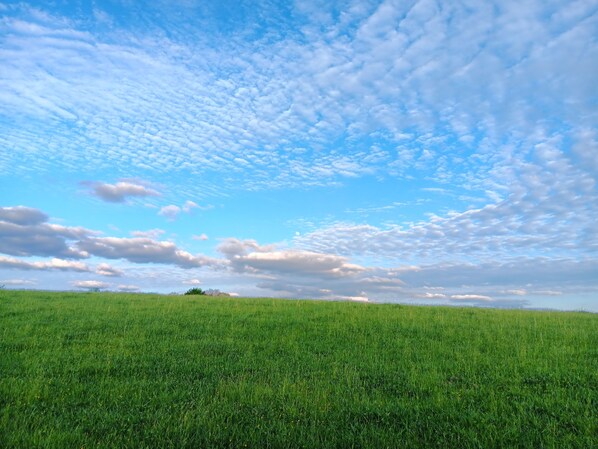 A vast green field under a clear blue sky with scattered clouds.