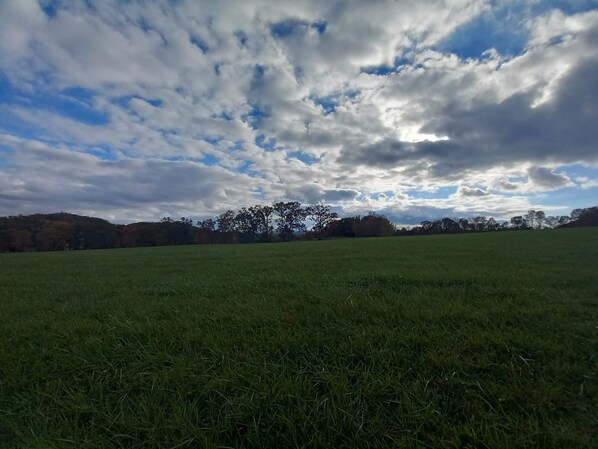 Property grounds - Scenic View - this farm has it all! (Corbin)