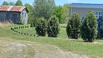 Enceinte de lâhĂ©bergement