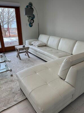 Smart TV, fireplace, books, music library