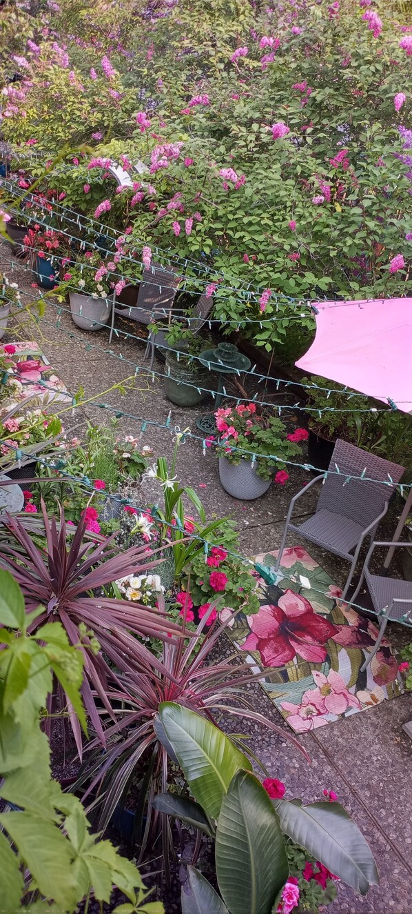 A garden area with various potted plants and flowers, a seating area with chairs, and a pink canopy.