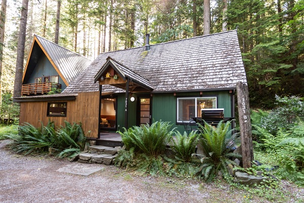 Birdhouse in the Summer