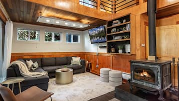 智能电视、壁炉、DVD 播放器、书