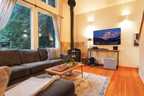 TV, fireplace, video games, DVD player