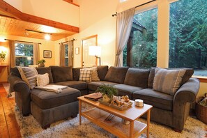 TV, fireplace, video games, DVD player