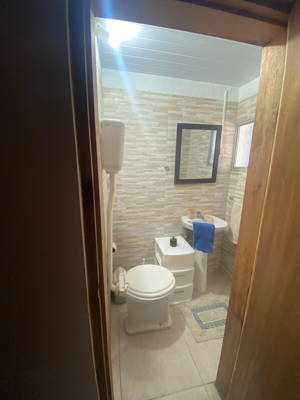 Regadera y papel de baño 