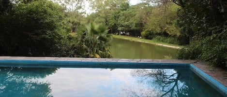 Una piscina al aire libre, una piscina climatizada