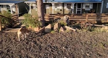 Relaxing Cabin in the heart of Red Feather Lakes!!