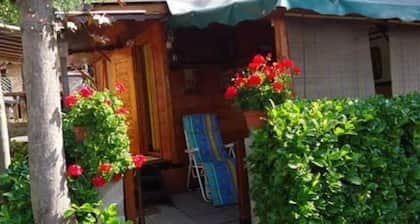 Camel Bungalow1Double Bed,2Single Bed,Mountain-BG