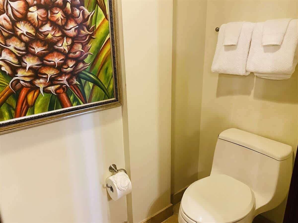 Bathtub, hair dryer, towels