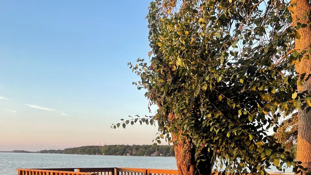 A wooden deck with a railing overlooking a body of water. - Fantastic Lake Views and Gorgeous Sunsets All year round (Nestleton Station)