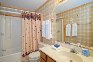 Une salle de bain équipée d’une douche, de toilettes, d’un lavabo et d’un miroir.