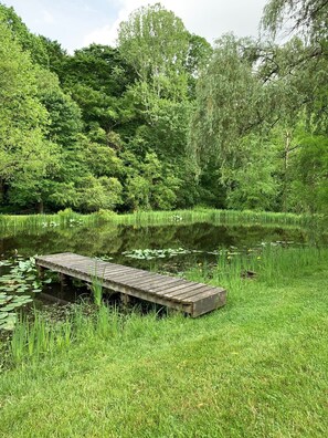 Property grounds - "Unto the Hills" Scenic and quiet cabin in Hocking Hills on 5 acres with a pond (Logan)