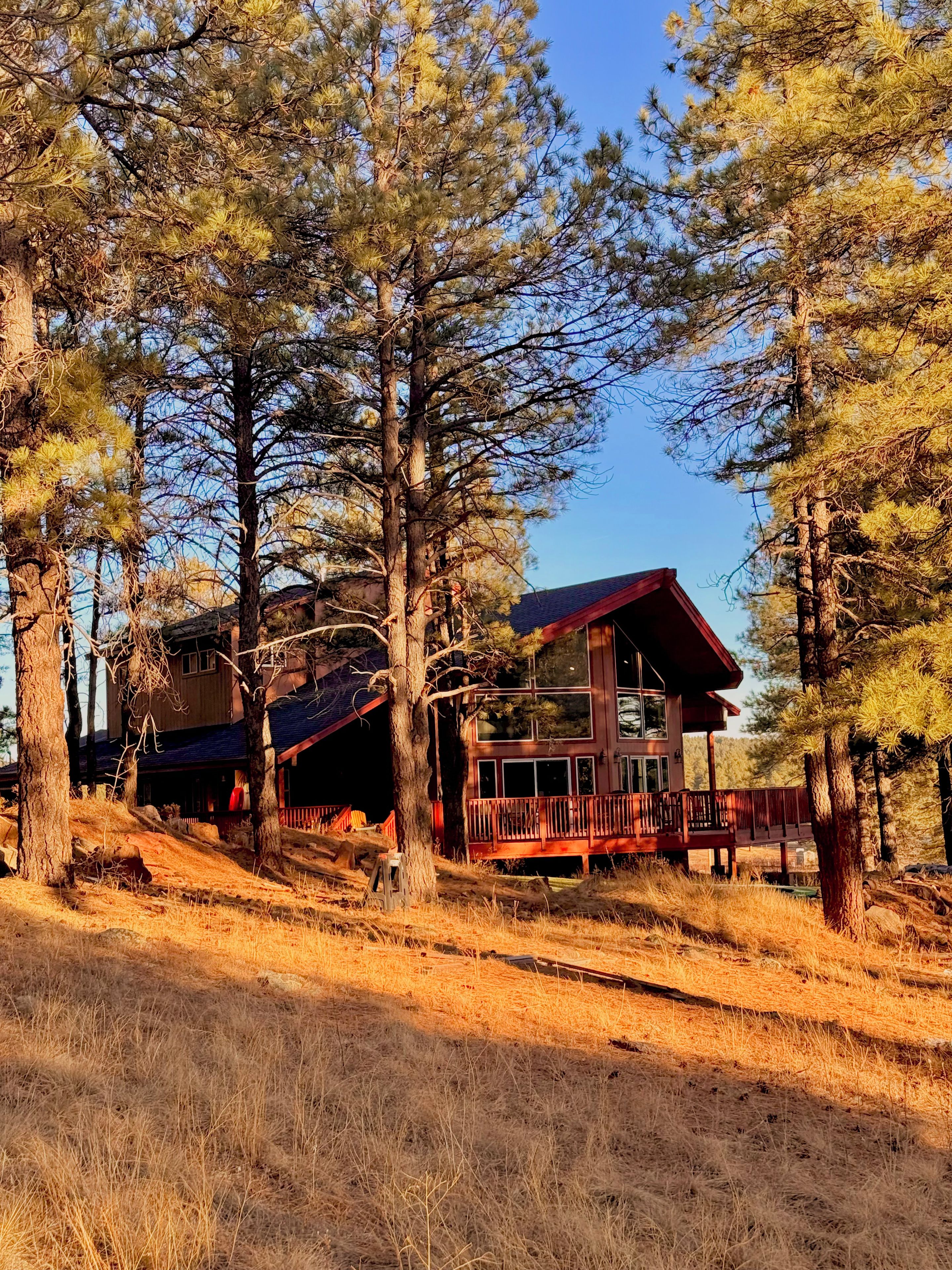 Une cabane avec un toit rouge, entourée de pins, et une terrasse qui s’étend à partir du bâtiment principal.