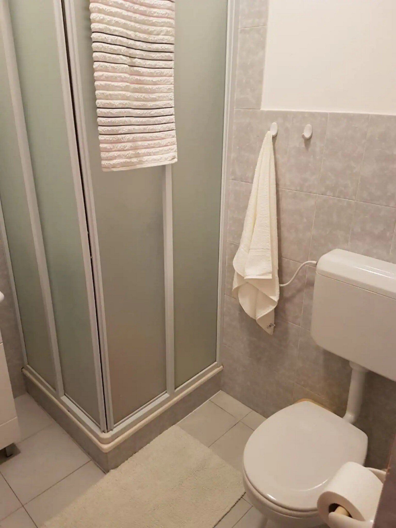 A bathroom with a glass shower enclosure, a toilet, and a towel rack.