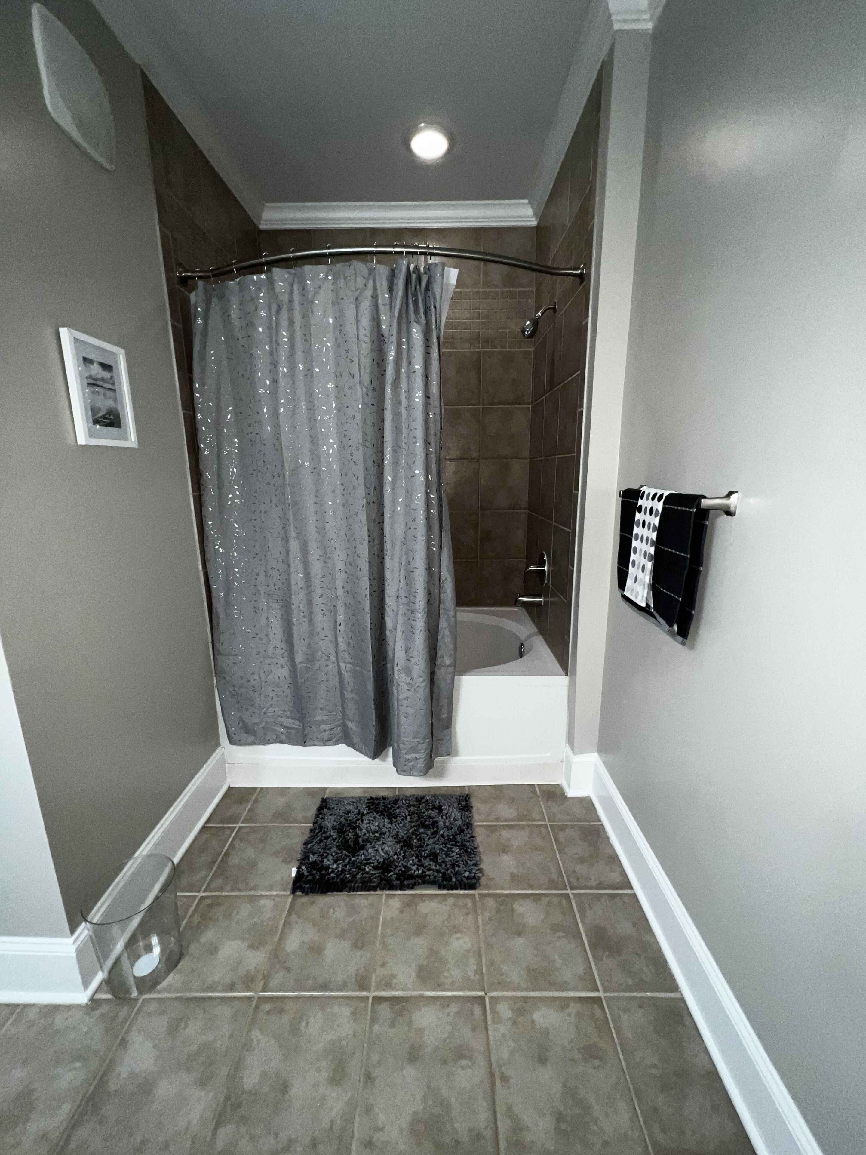 A bathroom with a shower, a bathtub, and a towel rack.