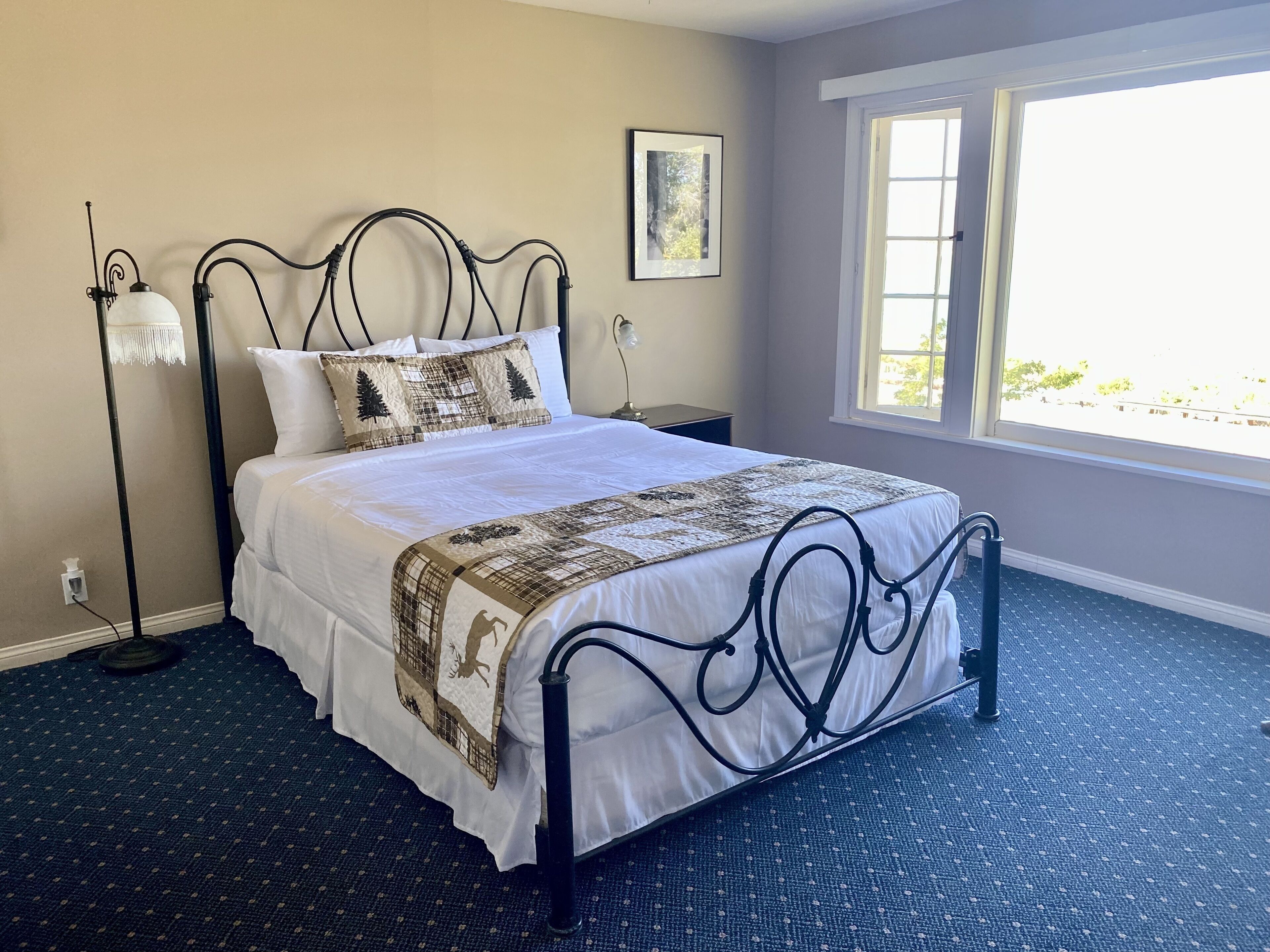 A neatly made bed with a white comforter and decorative pillows, a black metal headboard, a bedside table with a lamp, and a window with a view of greenery.