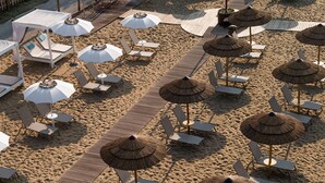 1 bedroom - Bungalow Pino Nero Bilocale 2 pax (San Michele al Tagliamento)