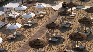 Room - Bungalow Leccio Trilocale 6 pax (San Michele al Tagliamento)