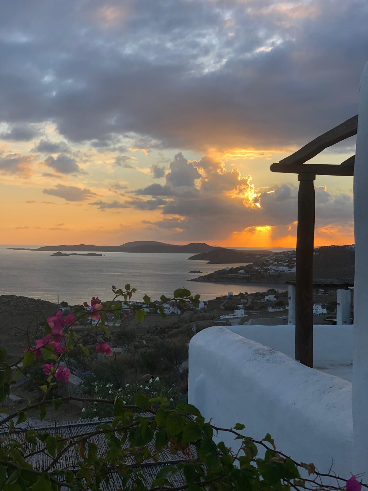 A coastal view with a sunset, a white building, and pink flowers in the foreground.