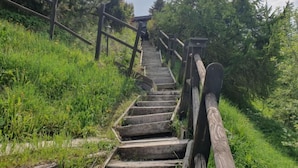A wooden staircase leading uphill, surrounded by greenery and trees. - Cheechako by Interhome (Nendaz)