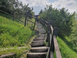 Uma escadaria de madeira que sobe, rodeada por vegetação e árvores.