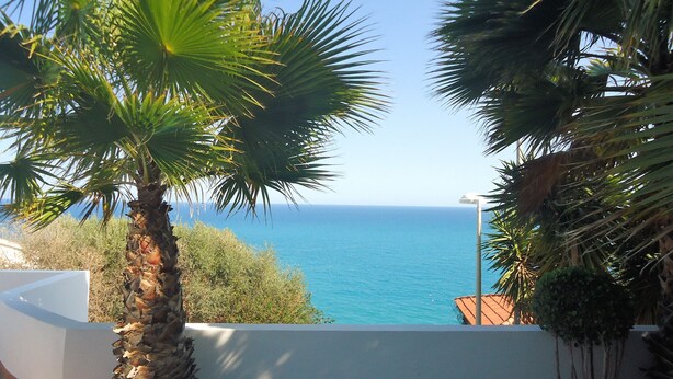 A coastal view with a palm tree and a white wall. - Arabella duplex village (Peñiscola)