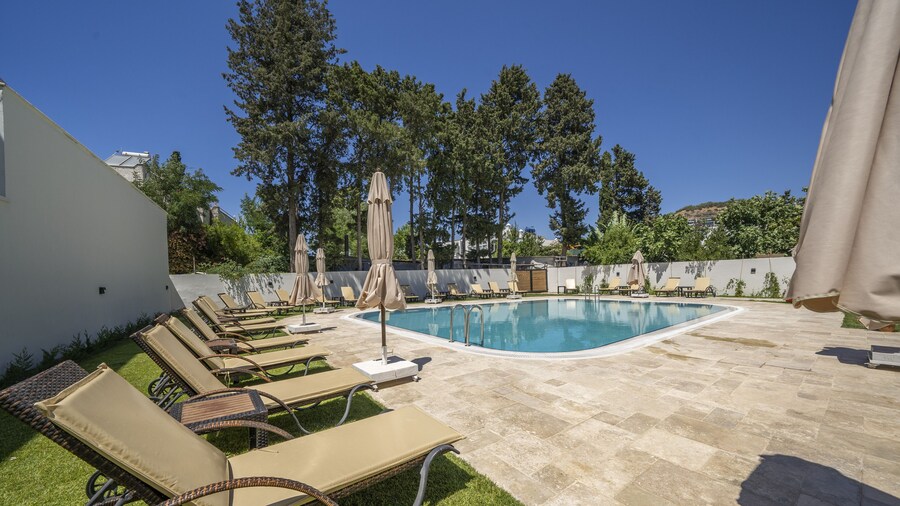 Olive Tree Gündoğan