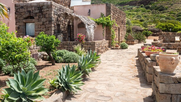 Un camí de pedra que condueix a un edifici de disseny rústic, envoltat de plantes diverses i flors en testos.