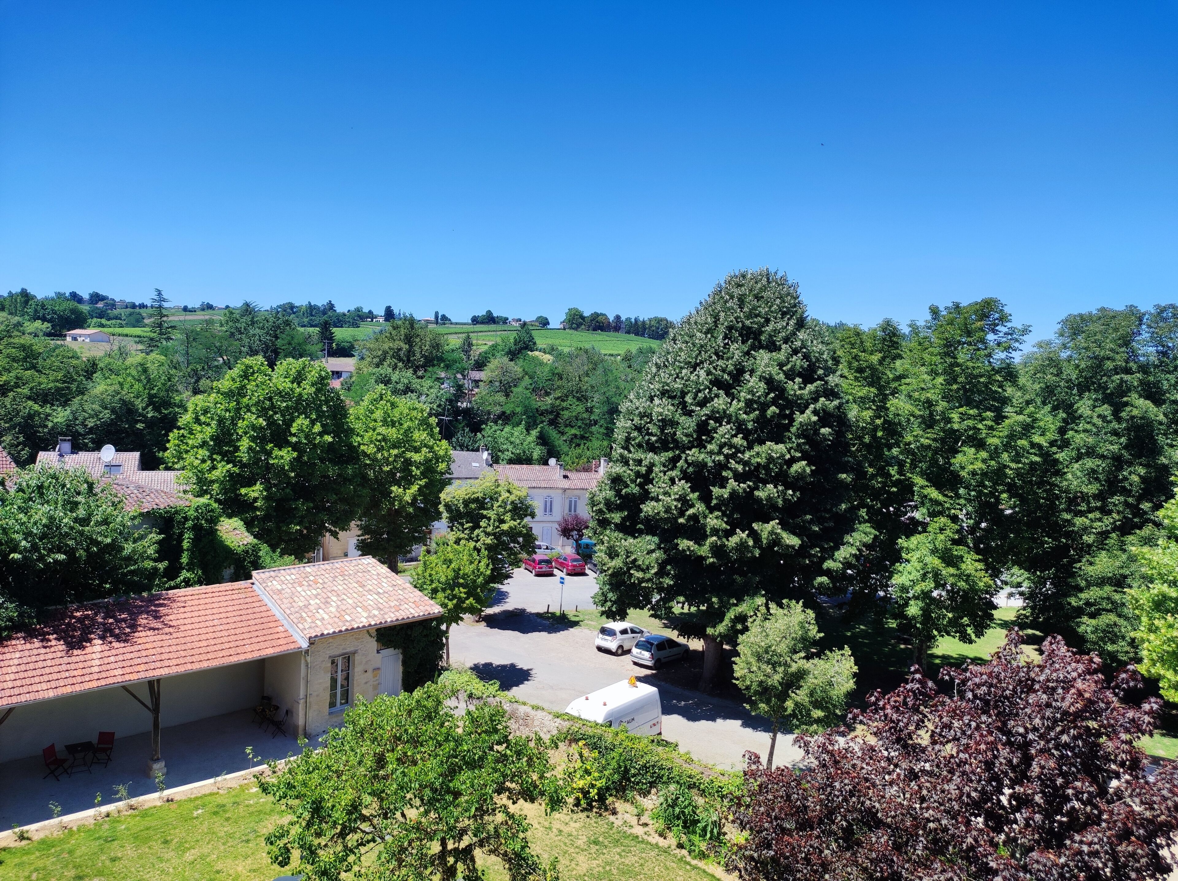 Un quartiere residenziale con case, alberi e un cielo azzurro limpido.
