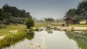 A serene pond with lily pads and a small wooden hut with two chairs. - Chão do Rio - Turismo de Aldeia (Seia)