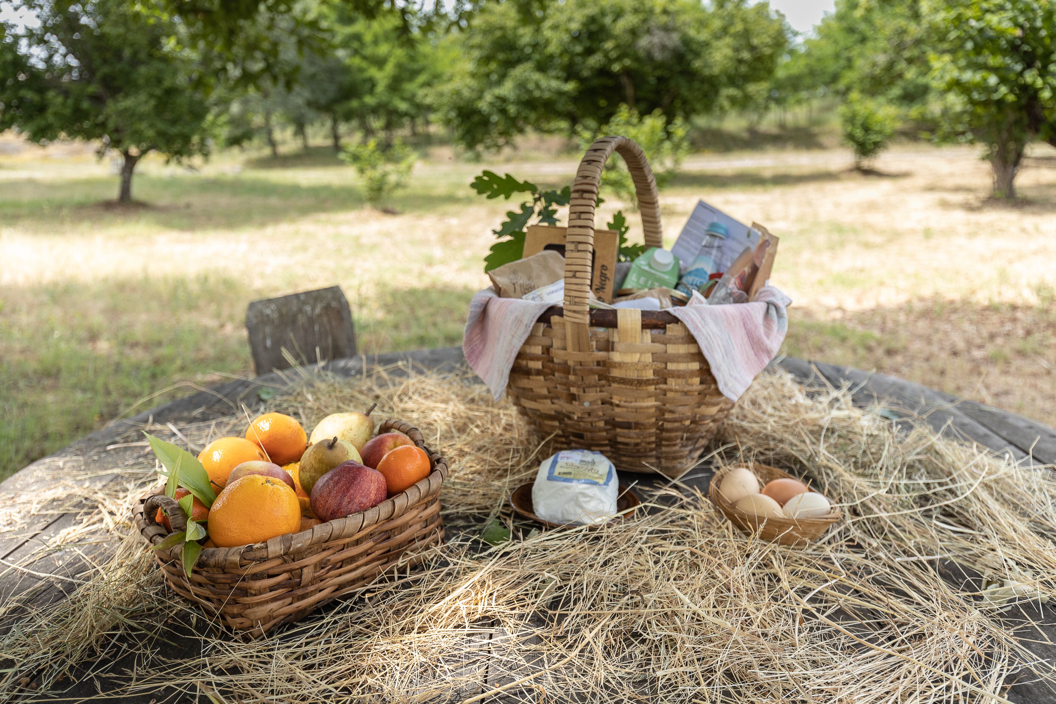 A basket of fruits and eggs on a straw-covered table in an outdoor setting.