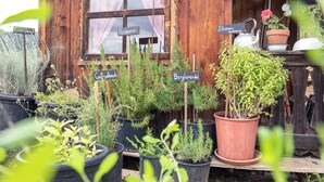 A rustic wooden building with potted plants labeled with their names. - Eichernhof Apartment Kirschblüte – Delicious Vital Breakfast and Dinner Available on Request (Verano)