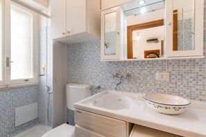 Shower, hair dryer, bidet, towels
