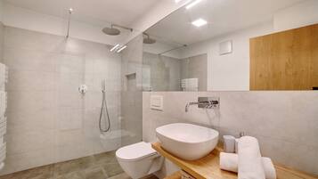Shower, hair dryer, towels
