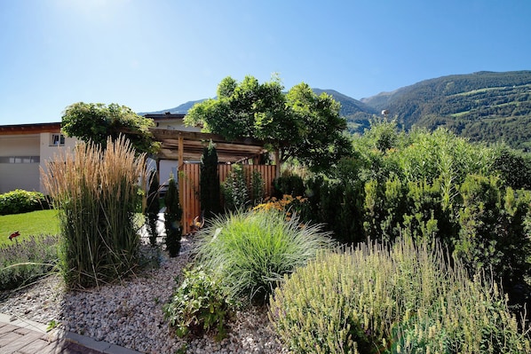 A garden with a wooden pergola, various plants, and a mountain backdrop.