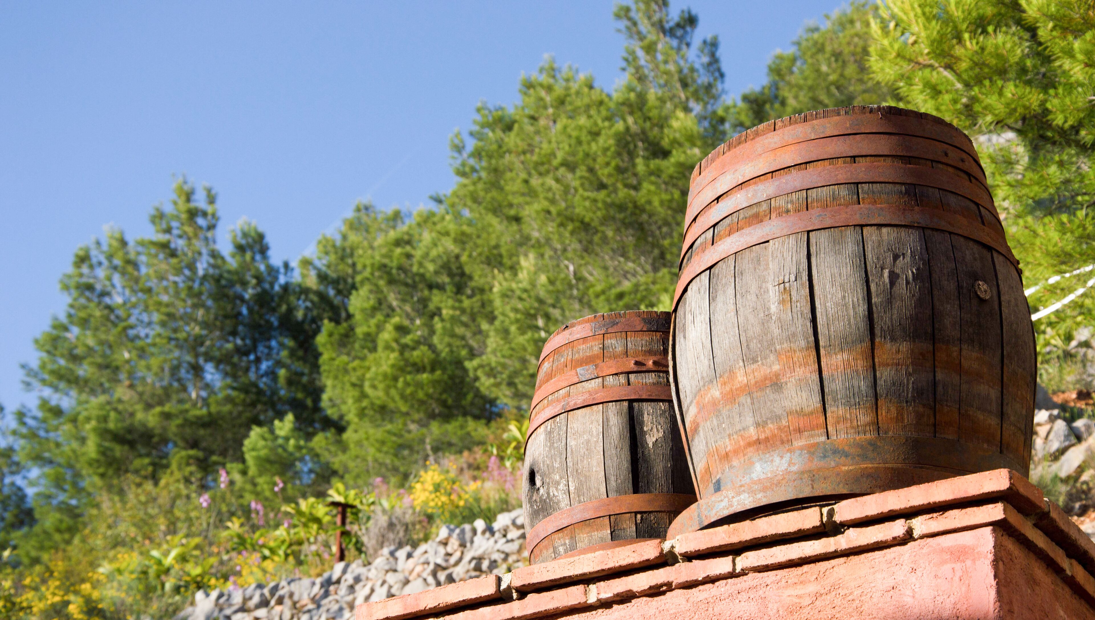 Photo - Finca el Tossal - Adults Only