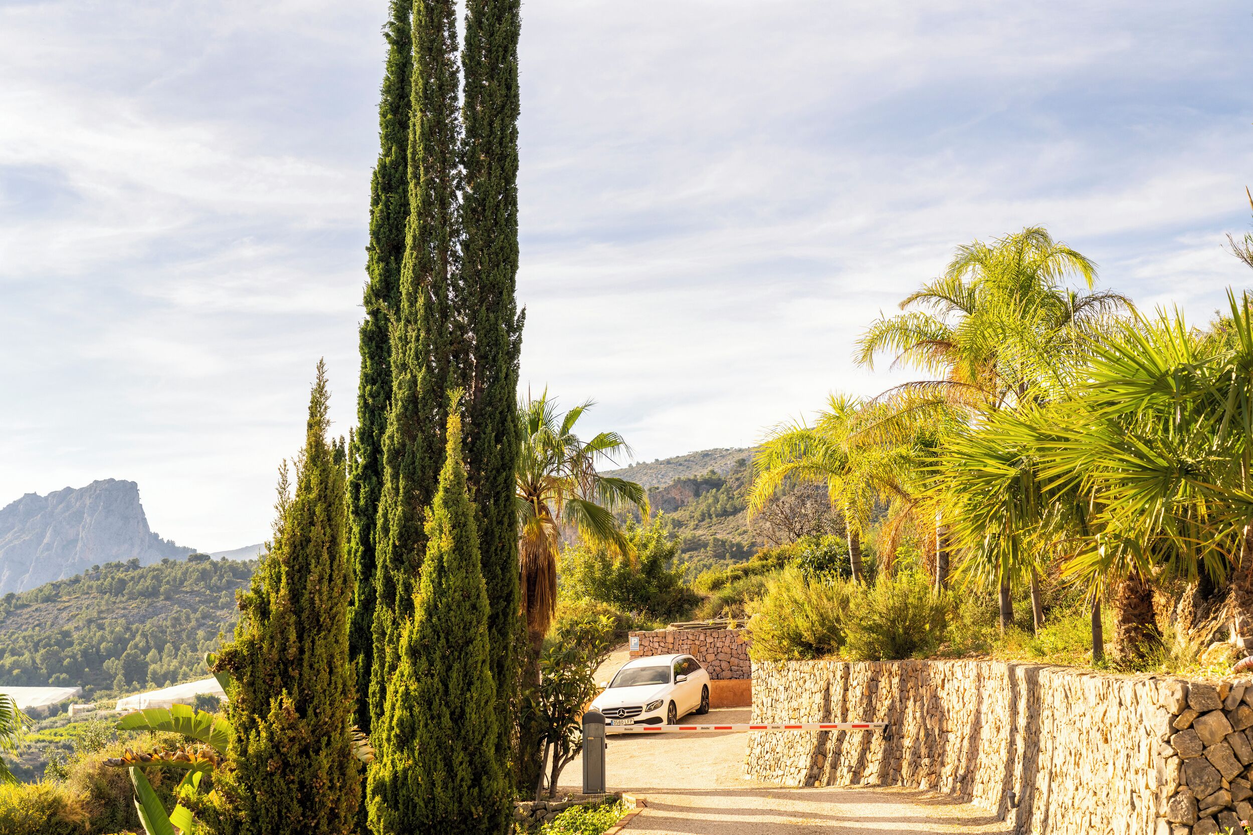 Foto - Finca el Tossal - Adults Only
