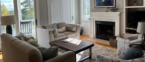 Smart TV, fireplace, books